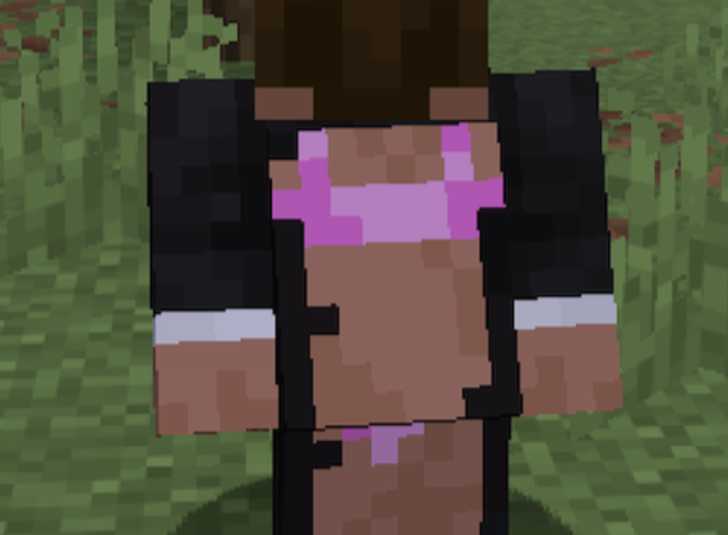 help us afford mc server hosting