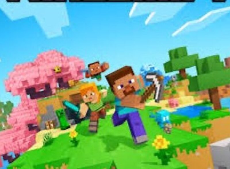 Help me play Minecraft