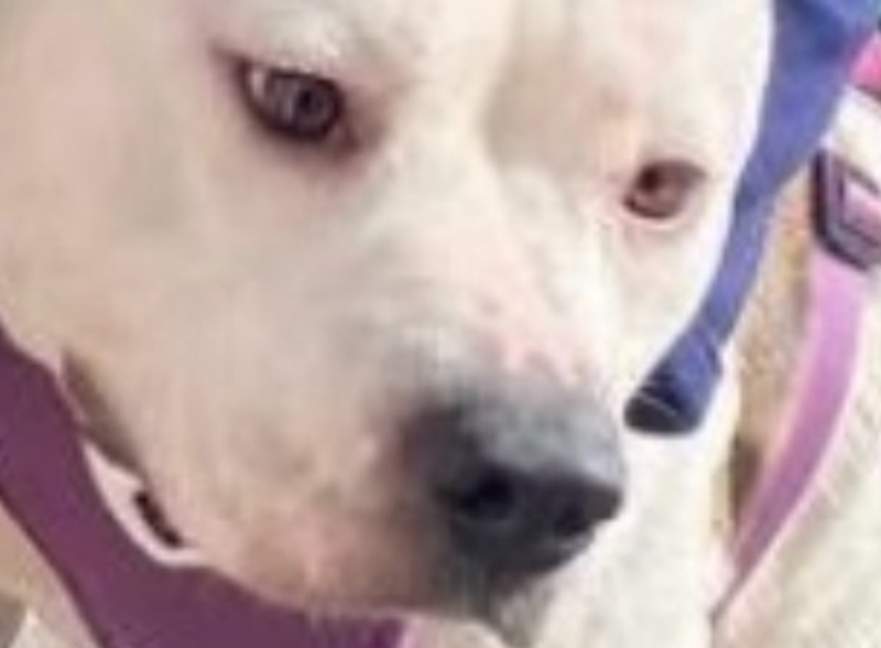 Donate to Brooklyn’s Life-Saving Surgery